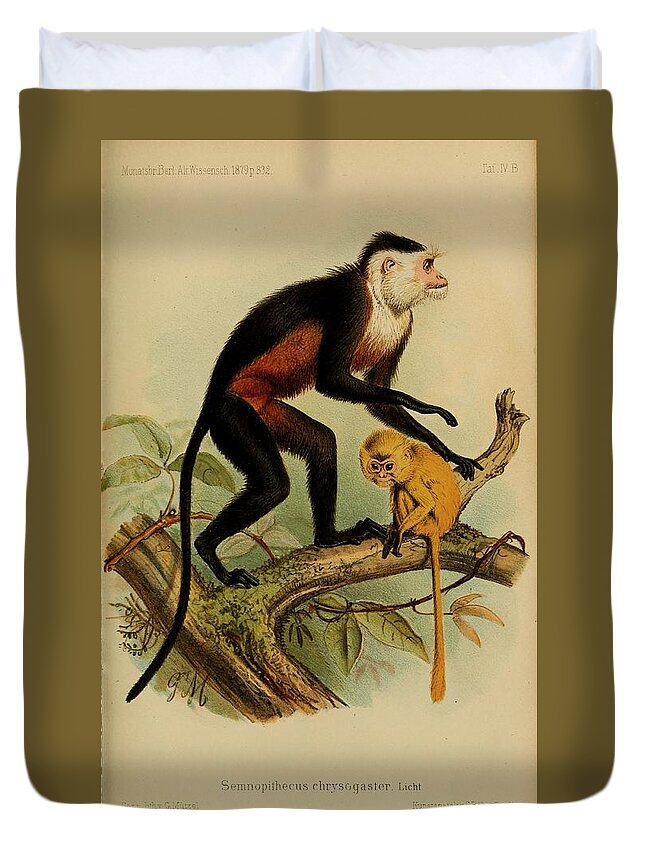 John Duvet Cover featuring the mixed media Beautiful Antique Monkey by World Art Collective