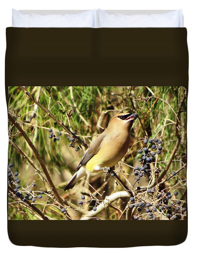 #bandit #mask #eyes #berries #lunchtime #springtime #cedarwaxwing #visitor #sunshine #northgeorgia Duvet Cover featuring the photograph Beautiful Bandit by Belinda Lee