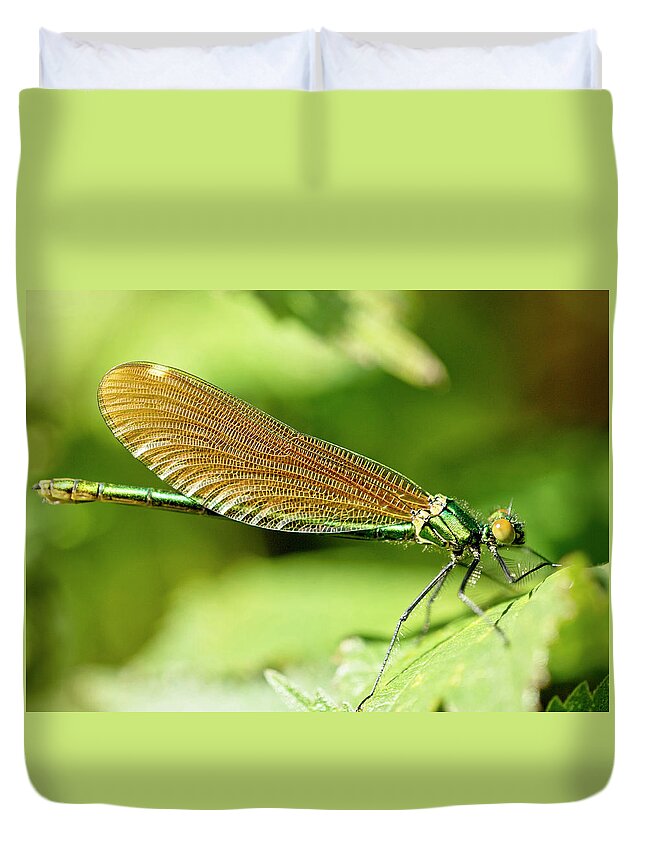 Beautiful Demoiselle Duvet Cover featuring the photograph Beautiful Demoiselle by Tony Mills