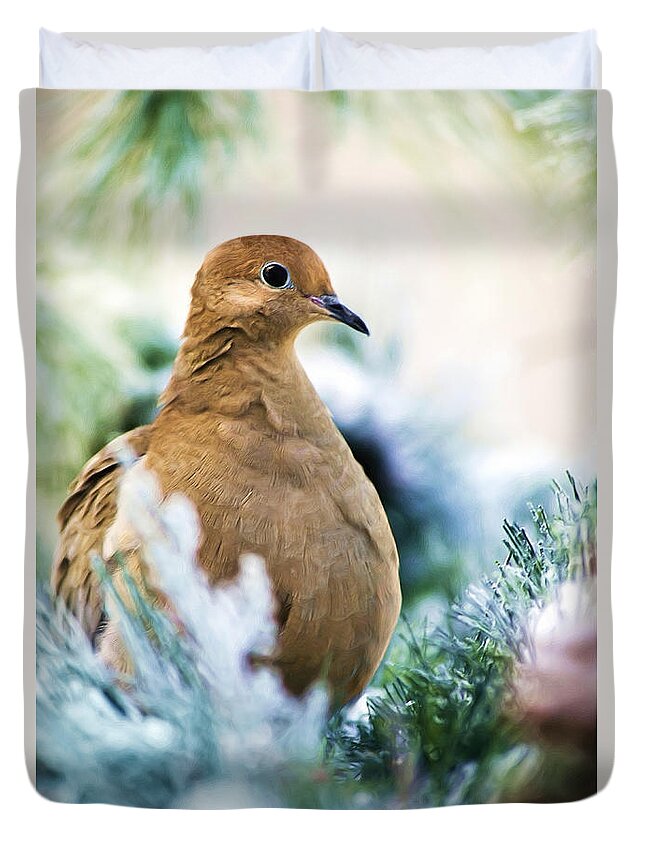 Bird Duvet Cover featuring the painting Beautiful Dove by Christina Rollo