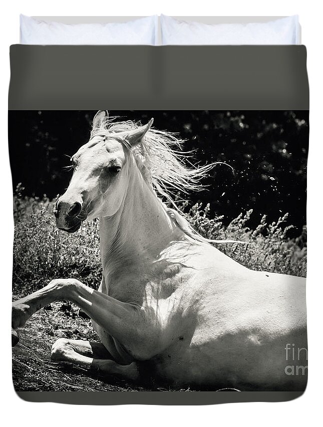 Horse Duvet Cover featuring the photograph Beautiful White Horse Laying Down by Dimitar Hristov