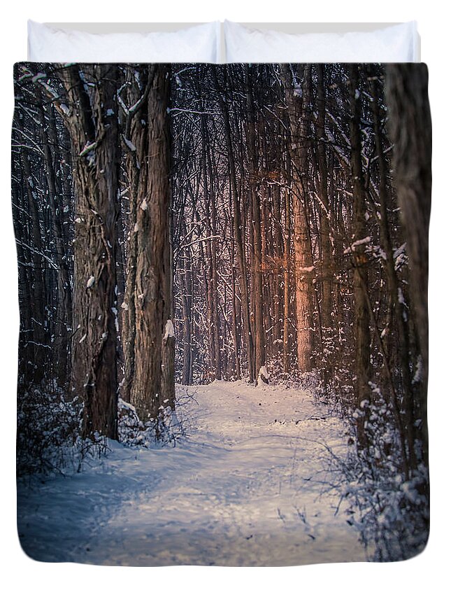 Beautiful Winter Path In The Forest Duvet Cover featuring the photograph Beautiful Winter Path In The Forest by Dan Sproul