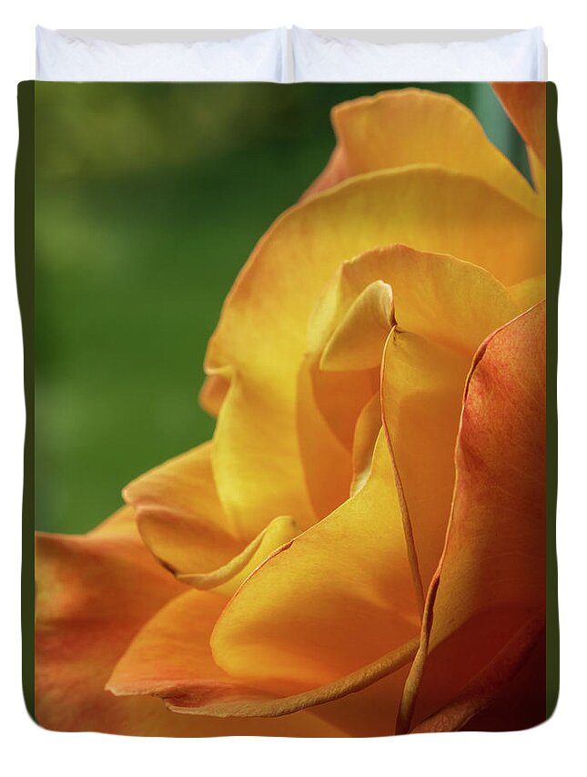 Yellow Duvet Cover featuring the photograph Beautiful Yellow Rio Samba Tea Rose by Catherine Avilez