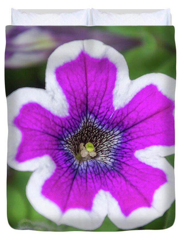 Colorado Flowers Duvet Cover featuring the photograph Beauty of A Garden Petunia by Debra Martz