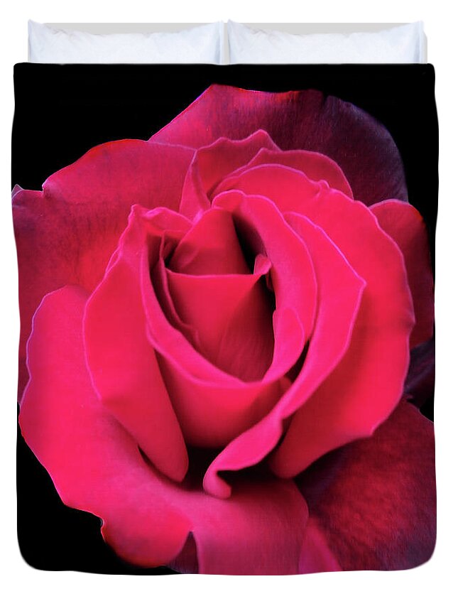 Rose Duvet Cover featuring the photograph Beauty Of Dark Red Rose Grand Chateau by Leonida Arte