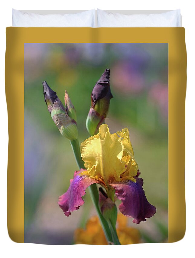Jenny Rainbow Fine Art Photography Duvet Cover featuring the photograph Beauty Of Irises. Milestone 1 by Jenny Rainbow