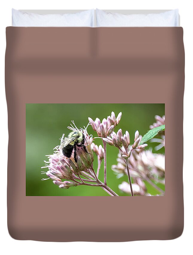 Bee Duvet Cover featuring the photograph Bee and Flowers-4 by John Kirkland