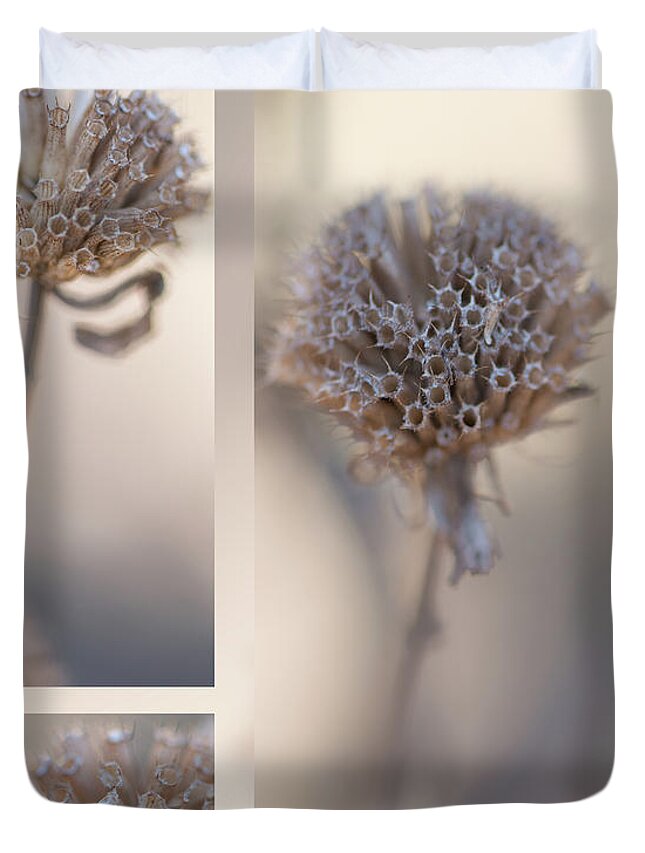 Taupe Duvet Cover featuring the photograph Bee Balm by Karen Rispin