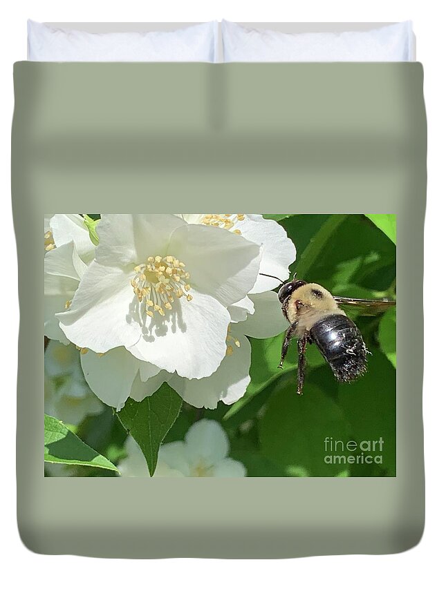 Bee Duvet Cover featuring the photograph Bee in Flight by Catherine Wilson