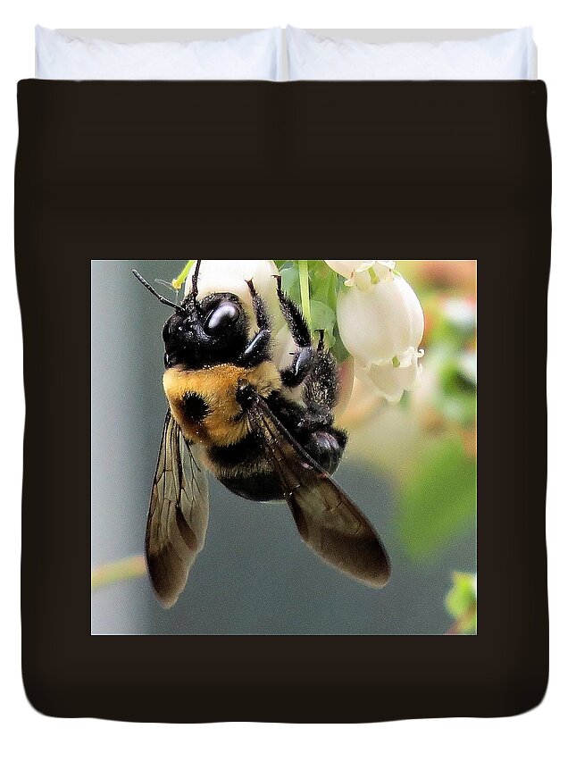 Insects Duvet Cover featuring the photograph Bee on Blueberry Blossoms by Linda Stern