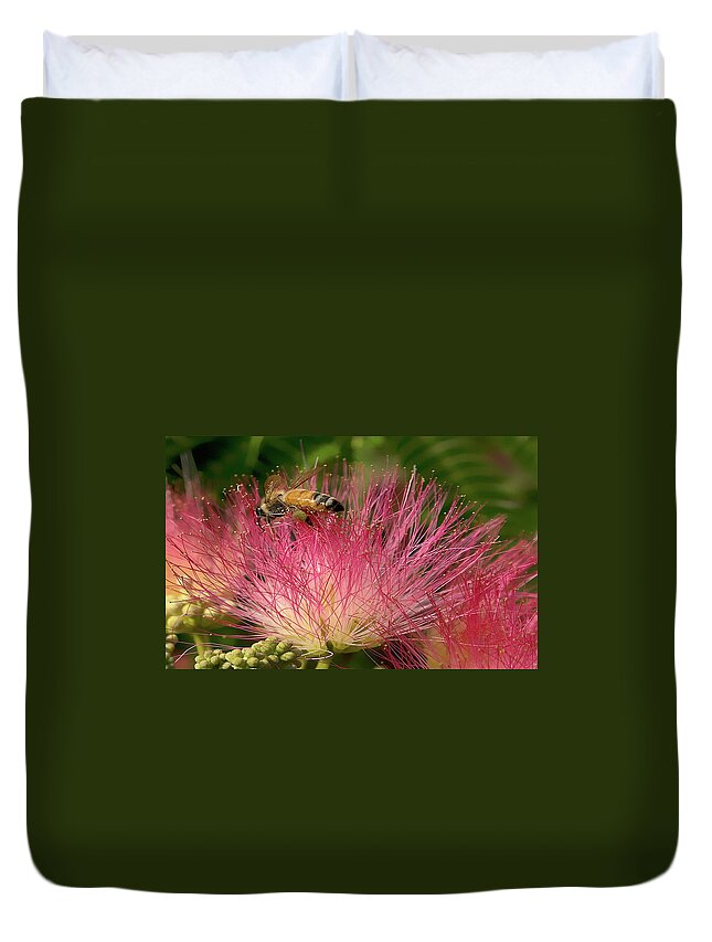 Photograph Duvet Cover featuring the photograph Bee on Mimosa Flower by Beverly Read