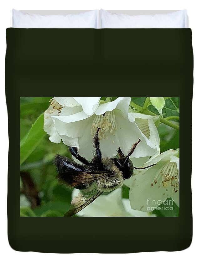Bee Duvet Cover featuring the photograph Bee Smart by Catherine Wilson