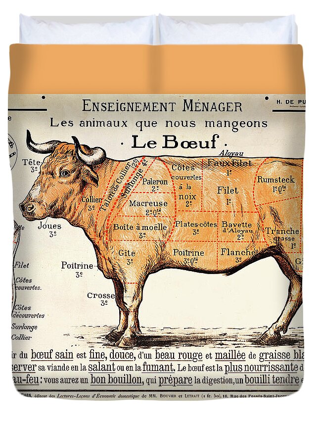 Le Boeuf; Cow; Cut; Joint; Food; Animal; Butchering Duvet Cover featuring the drawing Beef by French School