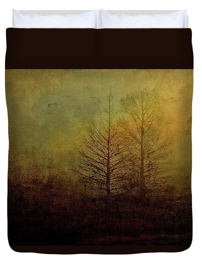Bare Duvet Cover featuring the photograph Before Spring by Pete Rems