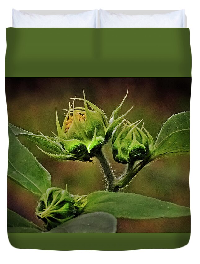 Sunflower Duvet Cover featuring the photograph Before the Bloom by Laura Putman
