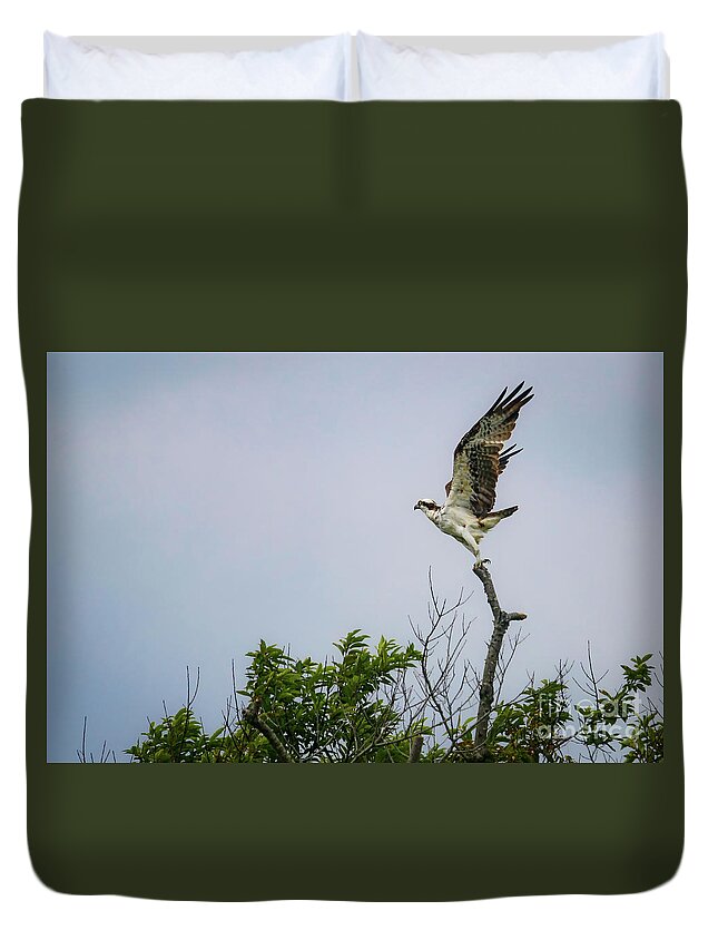 Osprey Duvet Cover featuring the photograph Before the Flight by Alyssa Tumale