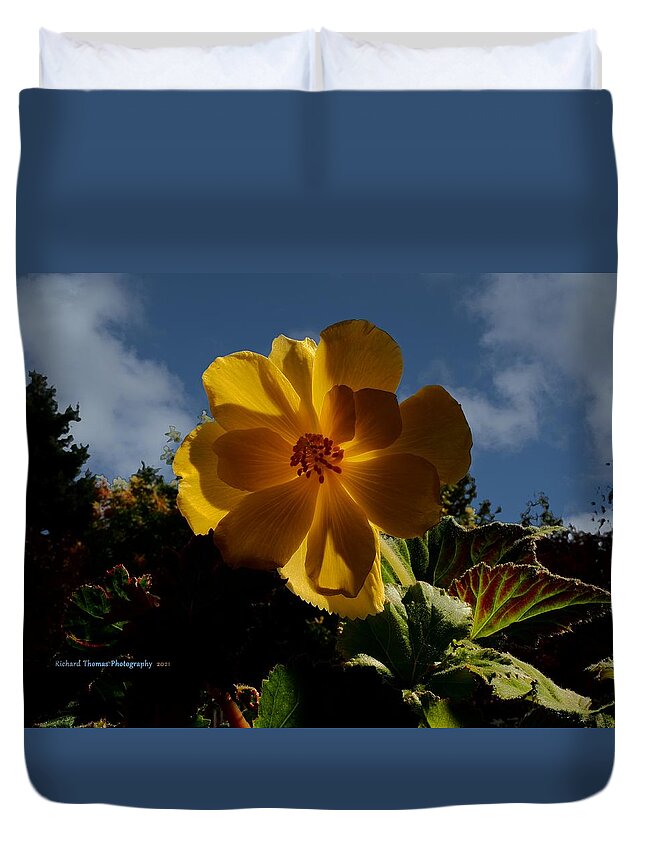Digital Painting Duvet Cover featuring the photograph Begonia Cumulus Sky by Richard Thomas