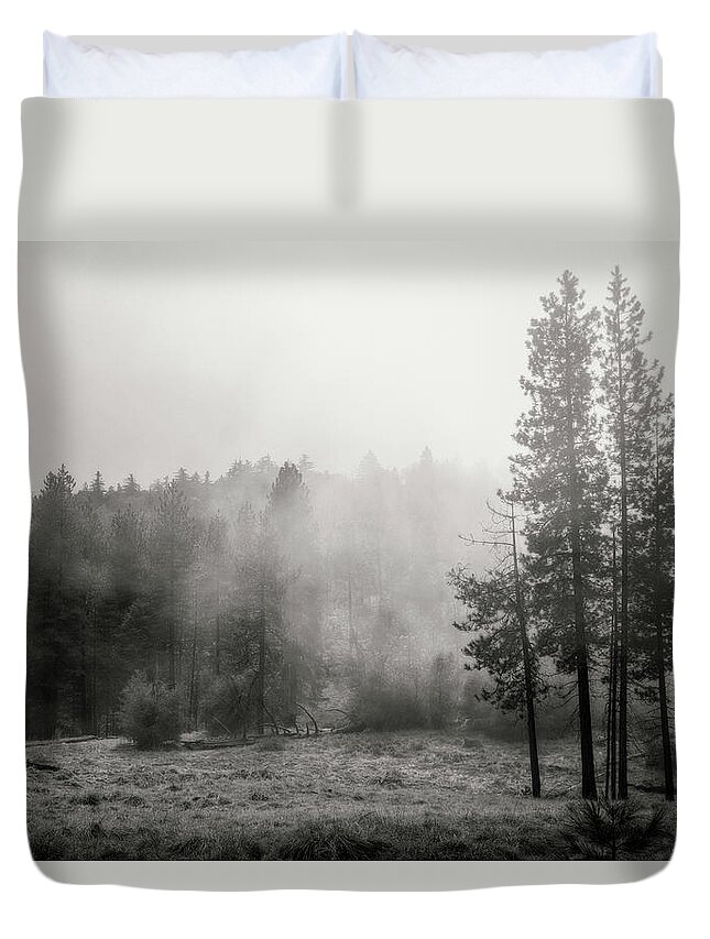 Trees Duvet Cover featuring the photograph Behind the Curtain by Ryan Weddle