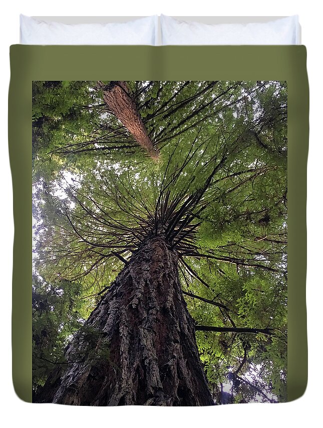 Jennifer Kane Webb Duvet Cover featuring the photograph Beneath the Trees by Jennifer Kane Webb