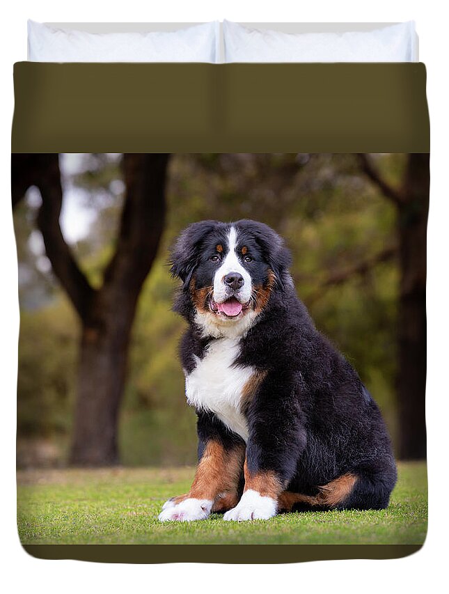 Bernese Mountain Dog Duvet Cover featuring the photograph Bernese Mountain Dog Puppy by Diana Andersen