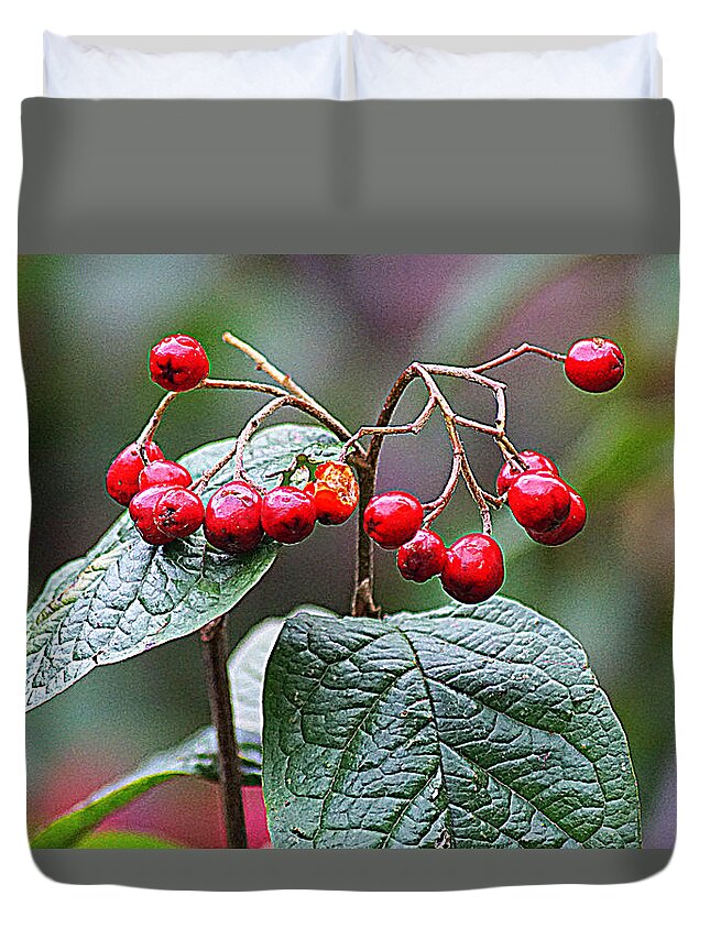 Nature Duvet Cover featuring the photograph Berries by Jolly Van der Velden