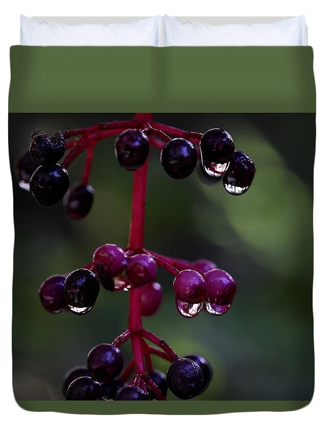 Rose Grape Duvet Cover featuring the photograph Rose Grape 2 by Mingming Jiang