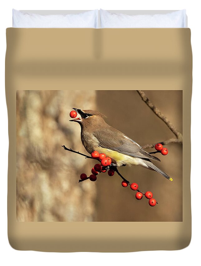 Bird Duvet Cover featuring the photograph Berry Tossing by Art Cole