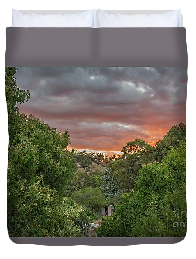 Sunset Duvet Cover featuring the photograph Between the Tree Tops by Elaine Teague