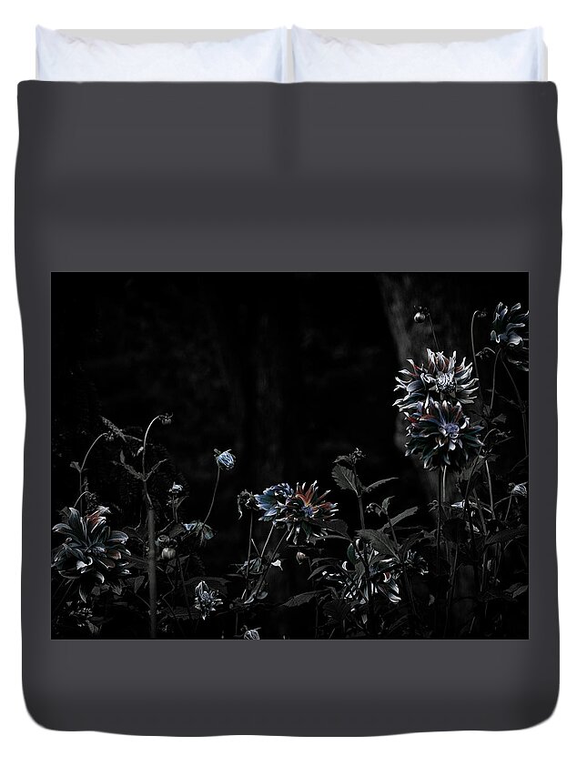 Dahlias Duvet Cover featuring the photograph Beyond the Reasonable Doubt by Cynthia Dickinson