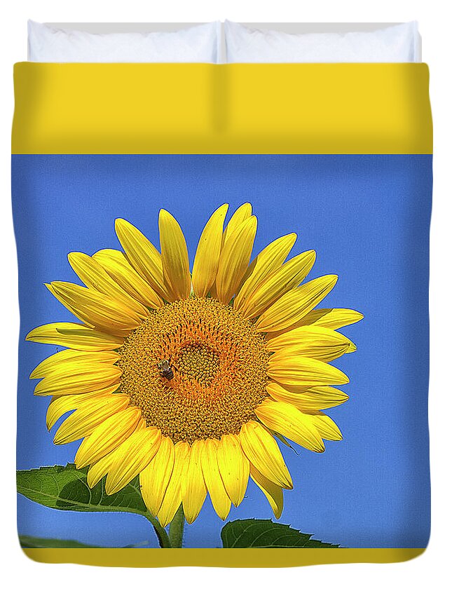 Sunflower Duvet Cover featuring the photograph Big and Beautiful by Bill Barber