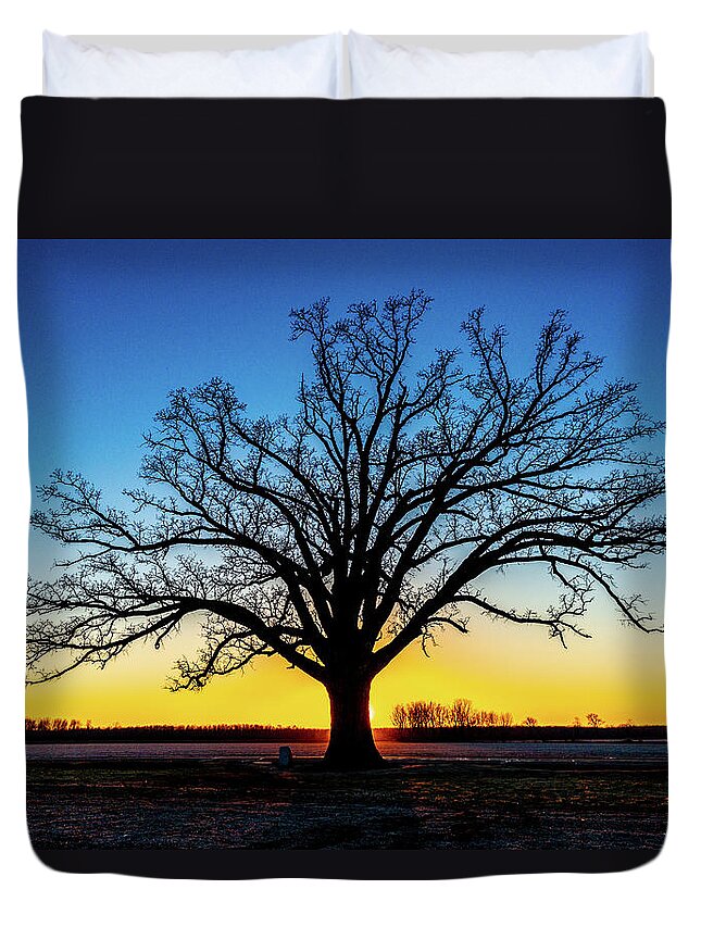 Big Oak Tree Duvet Cover featuring the photograph Big Oak Tree at Sunset by Harold Rau