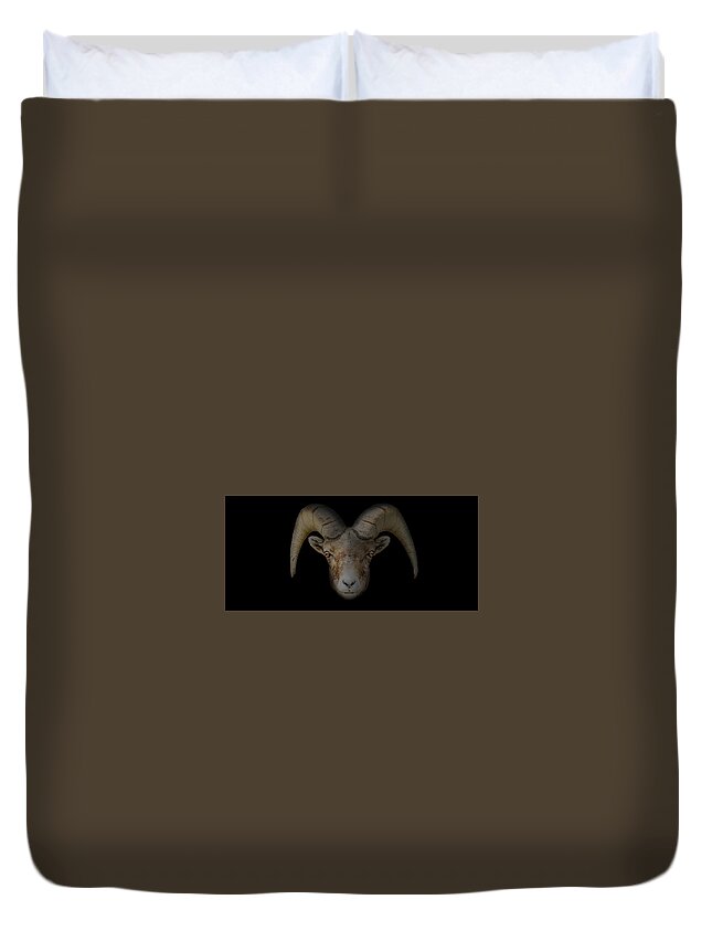 Wildlife Duvet Cover featuring the photograph Bighorn Ram Headshot by Ed Stokes