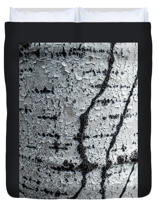 Bark Duvet Cover featuring the photograph Birch Bark Abstract by Karen Rispin