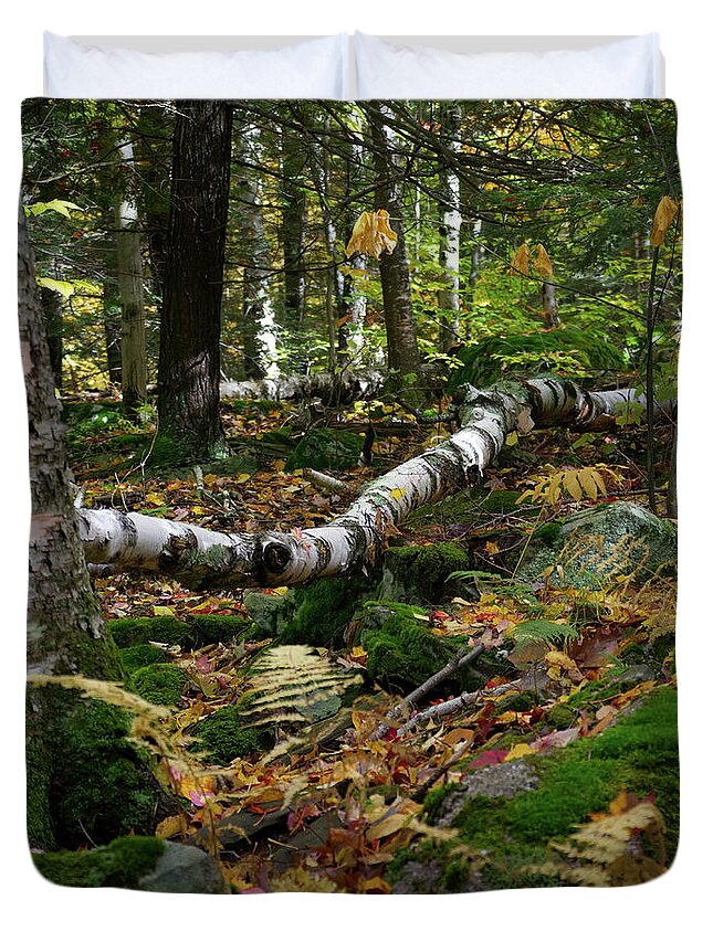Woods Duvet Cover featuring the photograph Birch Tree Down In the Catskills by Flinn Hackett