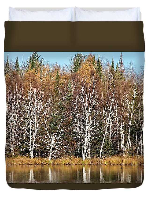 Walden Duvet Cover featuring the photograph Birches on Walden Pond by Robert Carter