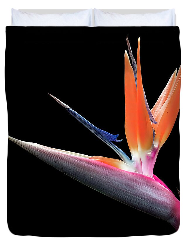 Photography Duvet Cover featuring the photograph Bird of Paradise by Larry Nader
