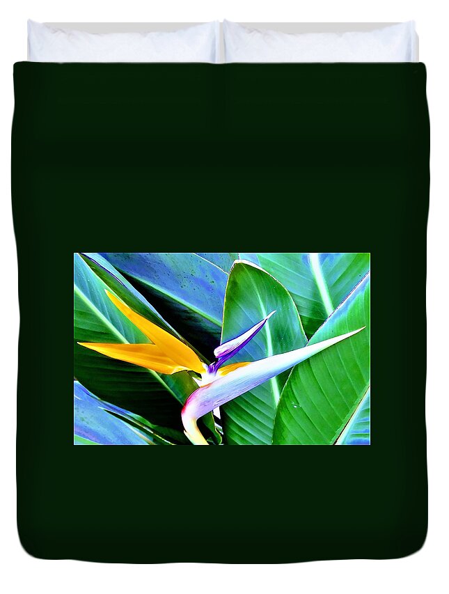 Flower Duvet Cover featuring the photograph Bird of Paradise's Striking Beauty by Vivian Aaron
