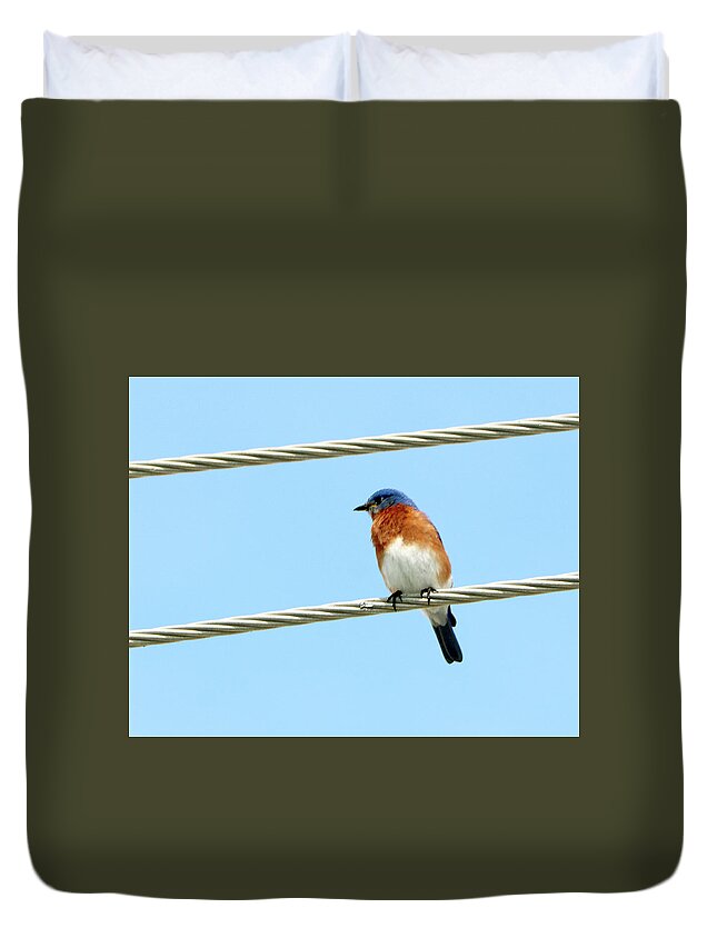  Duvet Cover featuring the photograph Birds 24 by Eric Pengelly