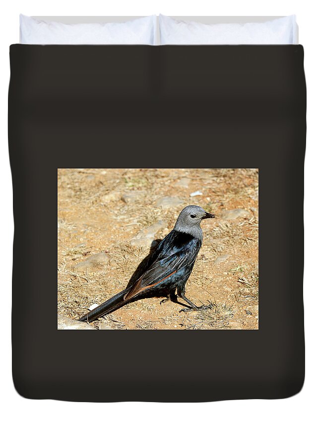  Duvet Cover featuring the photograph Birds 56 by Eric Pengelly