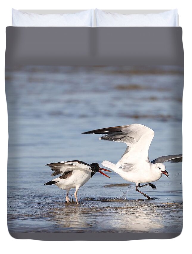 Seagulls Duvet Cover featuring the photograph Birds' Fight by Mingming Jiang