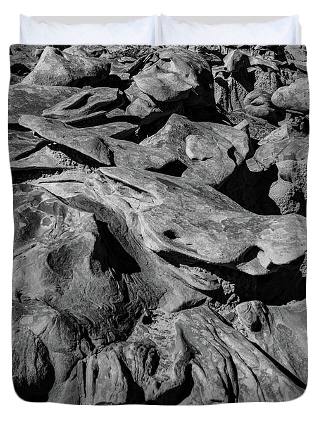 Bisti Wilderness Duvet Cover featuring the photograph Bisti Wilderness by George Buxbaum