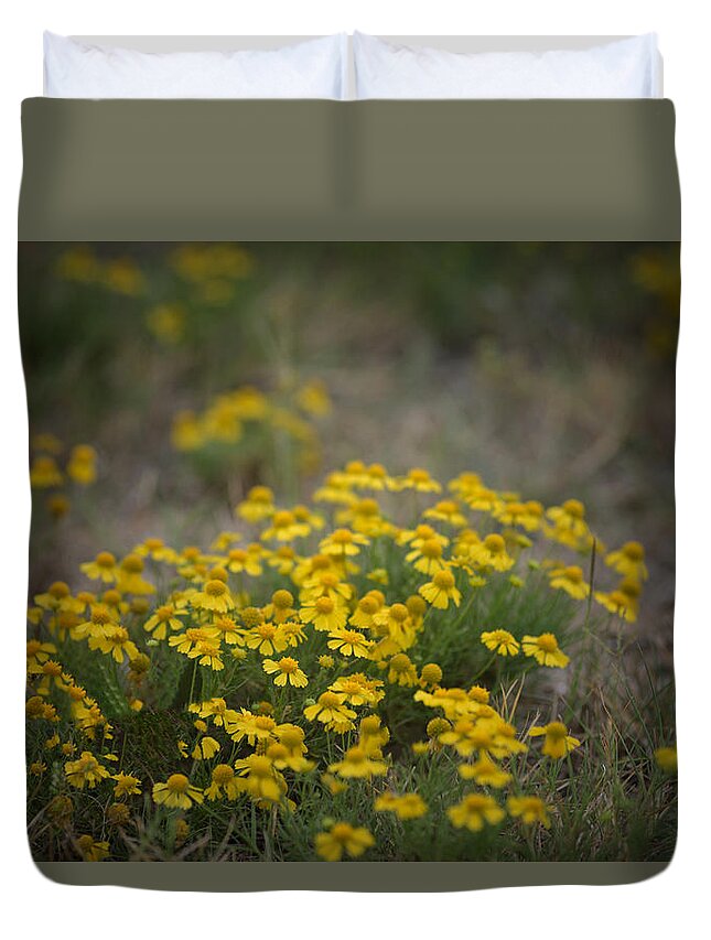Daisy Duvet Cover featuring the photograph Bitter Sneezeweed by DArcy Evans