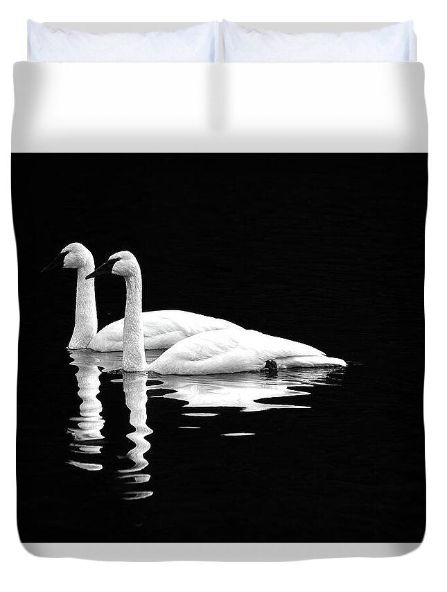 Swan Duvet Cover featuring the photograph Black and White Beauty by Jerry Cahill