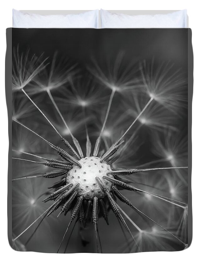 Mountain Duvet Cover featuring the photograph Black and White Dandelion by Go and Flow Photos