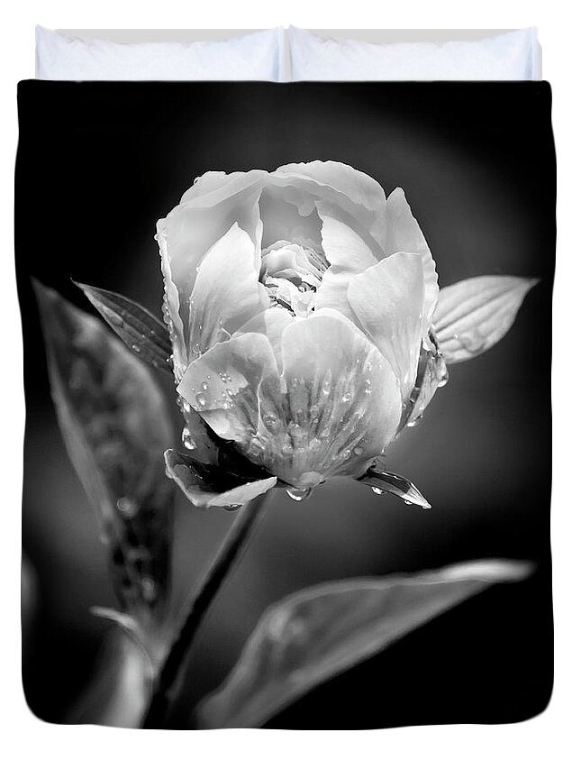 Black And White Duvet Cover featuring the photograph Black And White Peony Flower by Christina Rollo