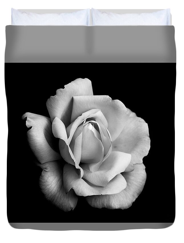 Rose Duvet Cover featuring the photograph Black and White Rose Bloom by Carrie Hannigan