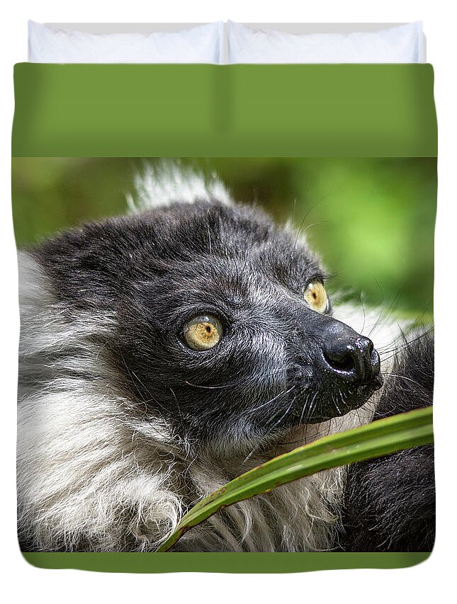 Black And White Ruffed Lemur Duvet Cover featuring the photograph Black and white Ruffed Lemur portrait by Gareth Parkes