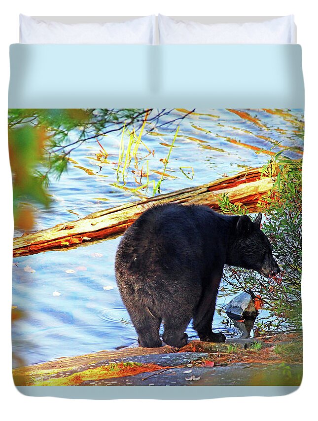 Bear Duvet Cover featuring the photograph Black Bear by Debbie Oppermann