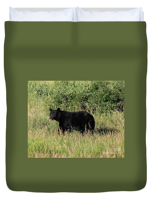 Black Bear Duvet Cover featuring the photograph Black Bear in Field by Shirley Dutchkowski