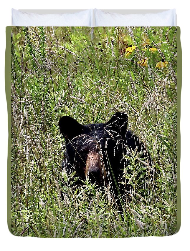 Tennessee Duvet Cover featuring the photograph Black Bear In The Cove by Jennifer Robin